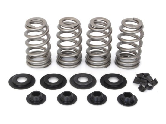 Taverner Motorsports - Valve Spring Kit; BT'84-04 .650" BH - AV-VSK6500