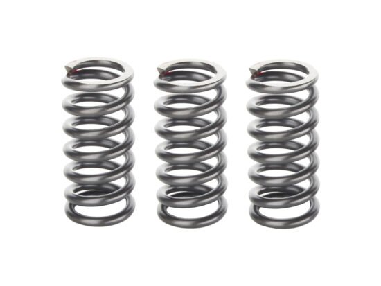Taverner Motorsports - Clutch Springs; CVO BT'13up