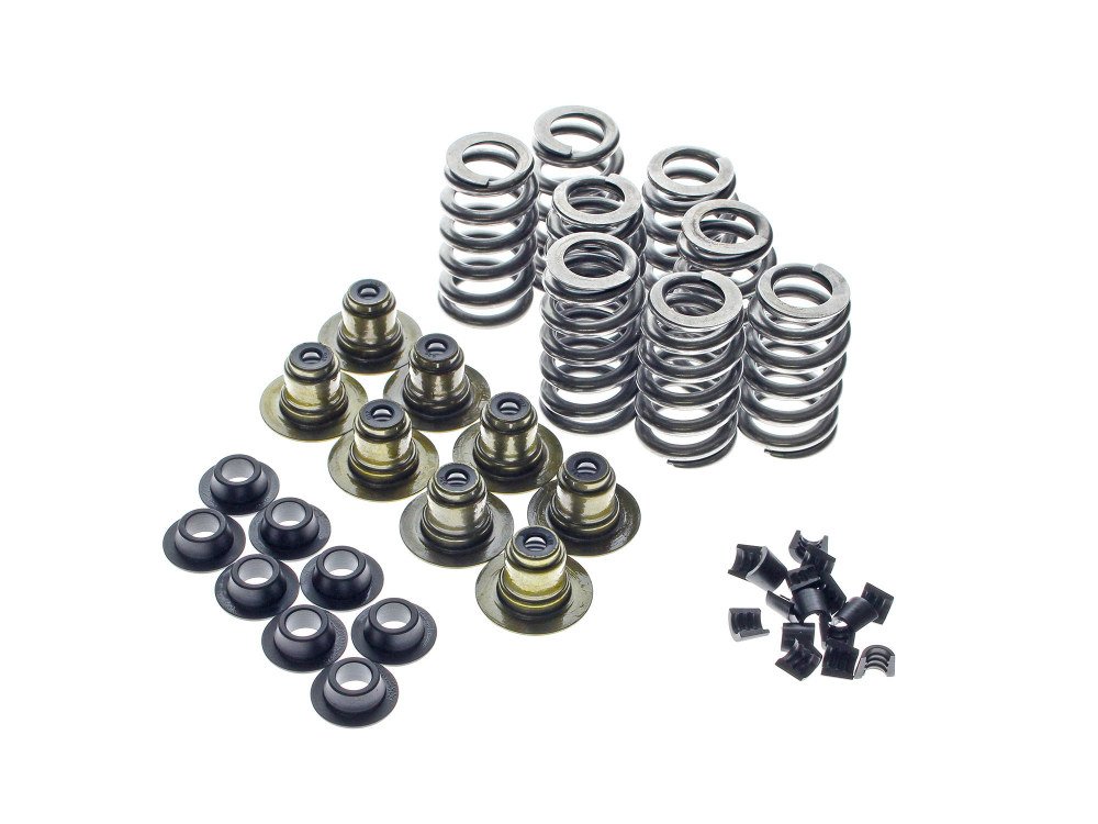 Taverner Motorsports - Valve Spring Kit; M8'17up .615" - AV-VSK8000TGHP