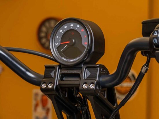 Taverner Motorsports - Gauge Housing; FXLRS'22up