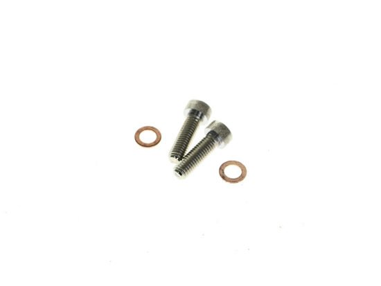 Taverner Motorsports - Damper Tube Screw & Washer (Pair) - BAI-C23-0237NU-2