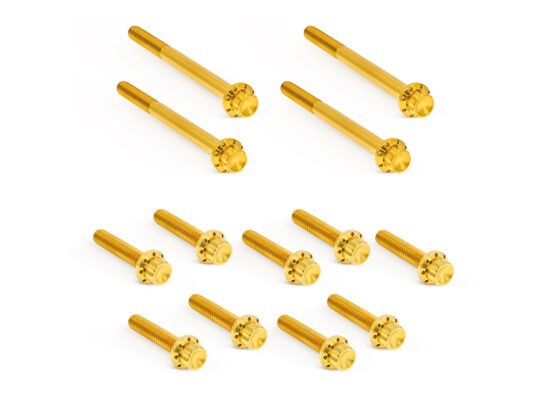 Taverner Motorsports - Prim Cvr Bolts; S/Tail'18up Gold - AN-300-931