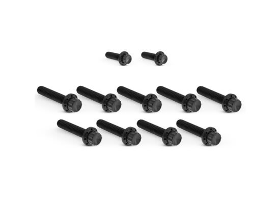 Taverner Motorsports - Cam Cvr Bolts; Blk FLH'17-24 & - AN-300-933