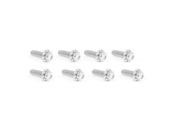 Taverner Motorsports - Tappet Cvr Bolts; Pol S/Tail'00up