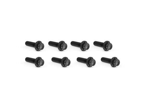 Taverner Motorsports - Tappet Cvr Bolts; Blk S/Tail'00up
