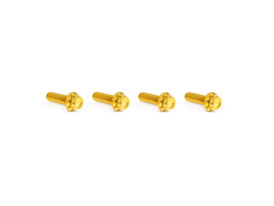 Taverner Motorsports - Trans Top Cvr Bolts or Perch; Gold - AN-300-979