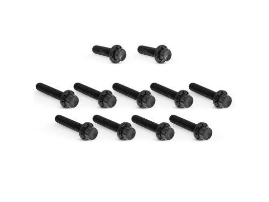 Taverner Motorsports - Cam Cvr Bolts; Blk FLH'24up & - AN-300-981