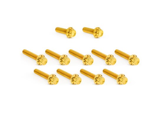 Taverner Motorsports - Cam Cvr Bolts; Gold FLH'24up & - AN-300-982