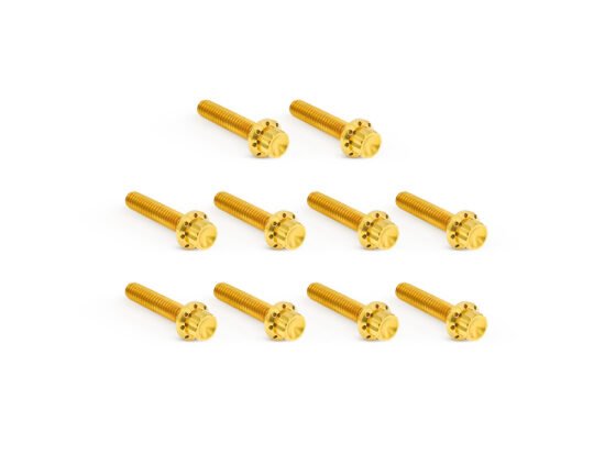Taverner Motorsports - Cam Cvr Bolts; TC'99-17 Gold - AN-300-988