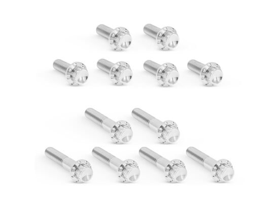 Taverner Motorsports - Rocker Cvr Bolts; TC'99-17 Polished - AN-300-992