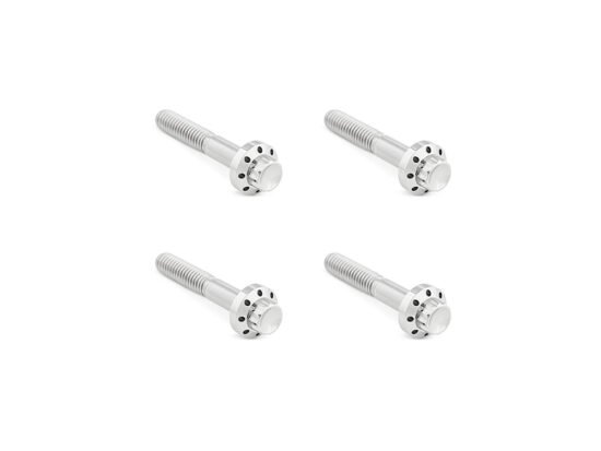 Taverner Motorsports - Front Fender Mnt Hardware;FLH'09-25 - AN-300-818