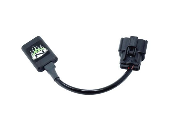 Taverner Motorsports - Apple CarPlay Bypass; FLH'24up - NMZ-N-ACP-HB