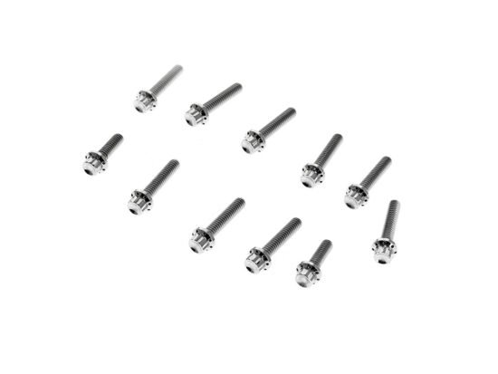 Taverner Motorsports - Cam Cvr Bolts; Polished FLH'24up & - AN-300-980