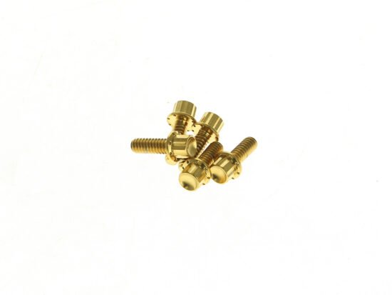 Taverner Motorsports - Derby Cvr Bolts; S/Tail'18up Gold - AN-300-925