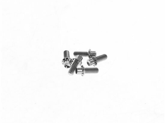Taverner Motorsports - Derby Cvr Bolts; FLH'07up&FXD'06-17 - AN-300-938